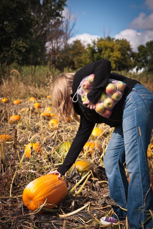Julia Miller checking out a pumpkin at the Afton Apple Orchard